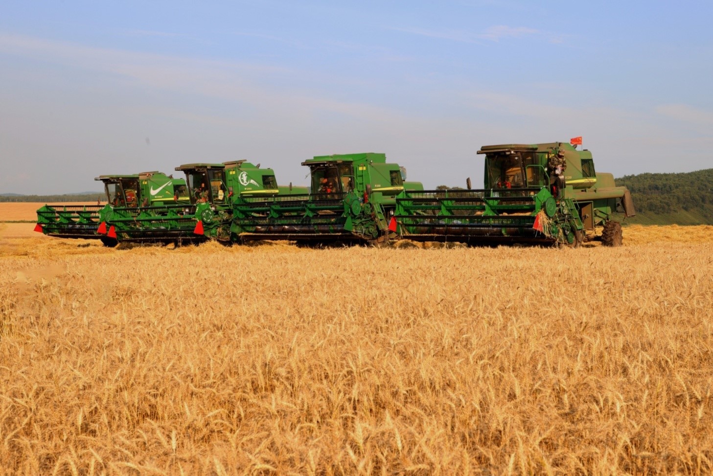 Jádro tří opatření pro domácí úkoly na podzimní sklizeň